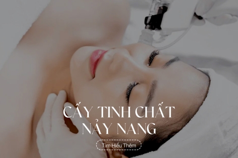 Cấy tinh chất nảy nang
